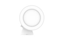 Ducted Ventflo Ceiling Exhaust Fan & Light 250mm