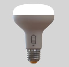 10W R80 Motion Sensor LED Globe