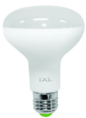 10W R80 Multi-Option LED Globe