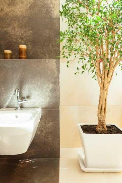 6 Steps To An Eco Bathroom